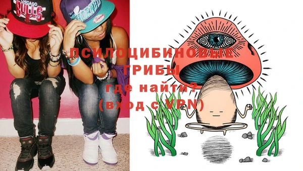 прущая мука Струнино