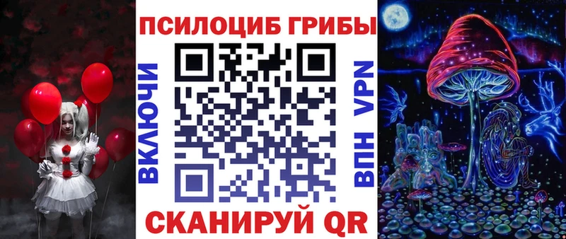 даркнет сайт  Кириллов  OMG онион  Псилоцибиновые грибы GOLDEN TEACHER 