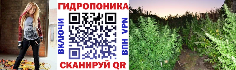 blacksprut маркетплейс  Кириллов  МАРИХУАНА планчик 